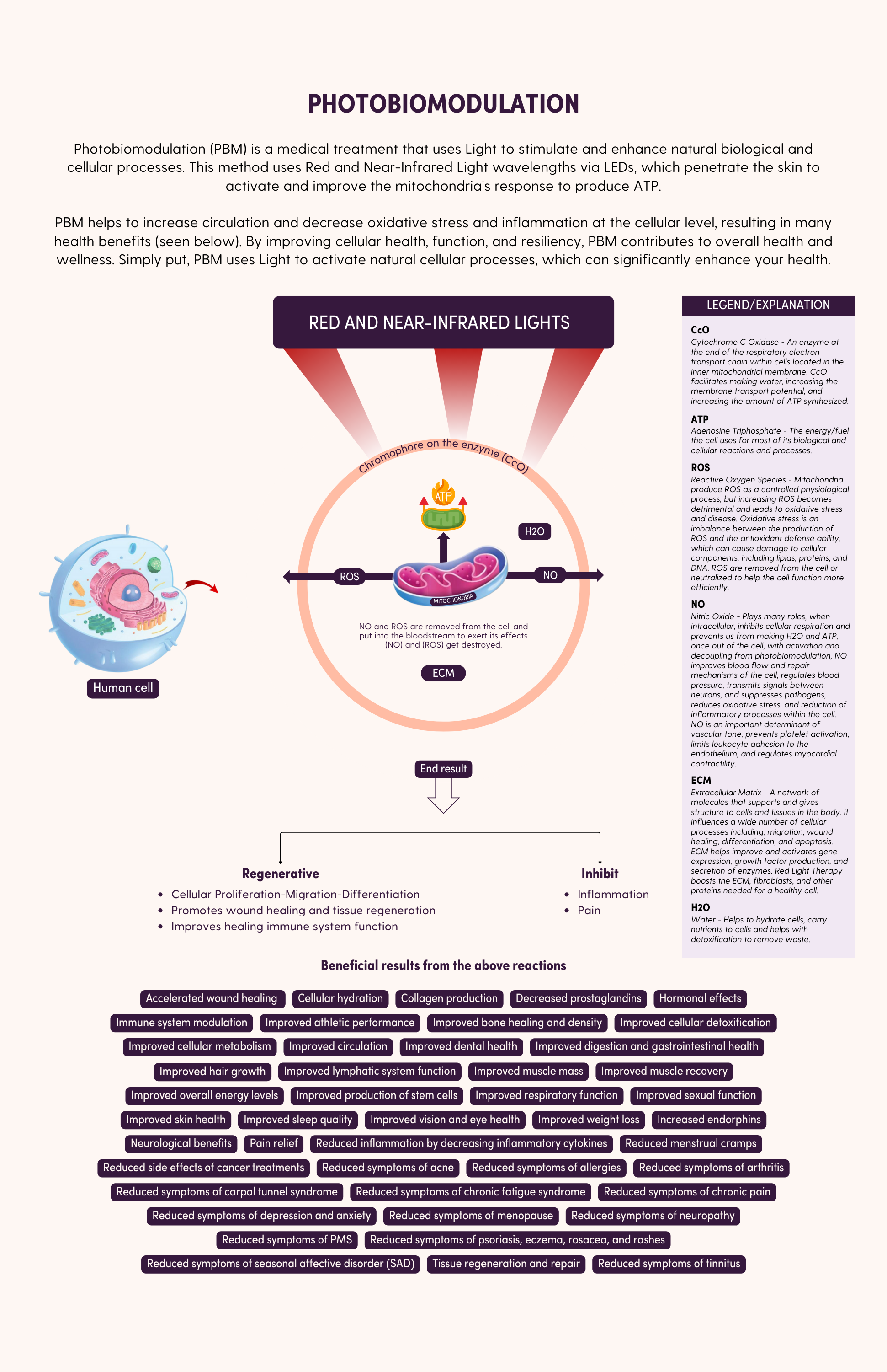 Photobiomodulation